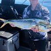 southcostfishtok