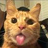 alexss_prths
