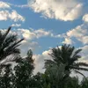 1abohussen
