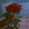 re_______mj