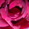 asmaa.tafes