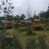 maminsenja