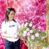 huongn71043860504
