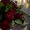 user_belucci
