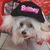 britne329