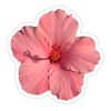 ifykyk.syeda