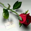 user1dv9q11odu