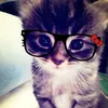 dorinha_cvlcnt