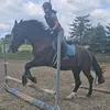 iberio_equestrian