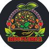 indoflora2