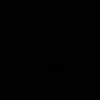 jari303