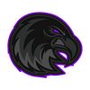 Ravens Esports MX