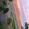 tobajellicoe