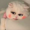 sriziaa