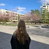 _._.wdw._._