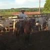murialdo_moreira