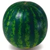 mr_melooon