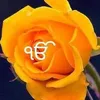singhamarjit155