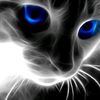 hopster_00