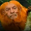 alexandrejunior25454
