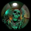 stoporoyorick