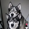 eva_ebs53