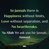 laylasharf1