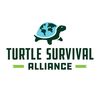 turtlesurvival