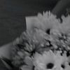 c_zzss