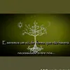 ecovilavaledoeden