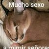 doctor_secxo_.69