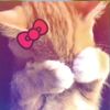 keisya_cantip11