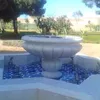 brahymp
