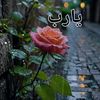 rashidyouseef121
