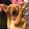 aanggayangnaaa