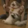 xhinnomomma