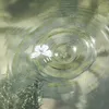 ngoc_diep.10