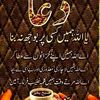 muhammadaltaf8213