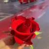 zozaa_96