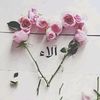 alaaakram970