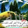 mrebeifaroukgmail.com