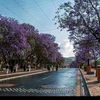 userwq30f4sjiv