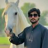 zubairnawaz550