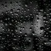 adel_01mo