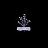 narandra_
