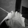 09.