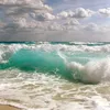 🌊