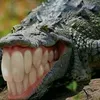 naogrita_ttk