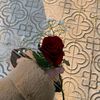 mawadh_10