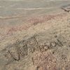 walaa1997_